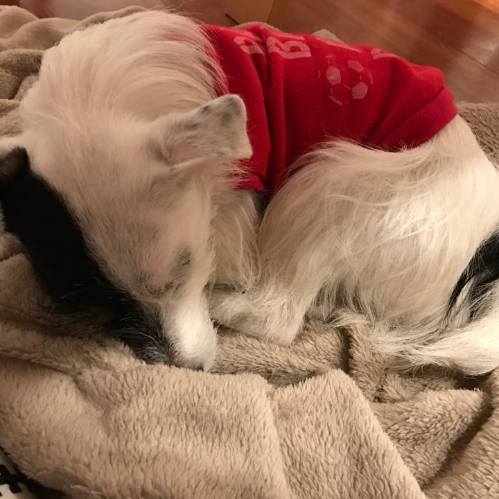 E20a629a 5eb8 45bf 8017 4ce2a41c19de