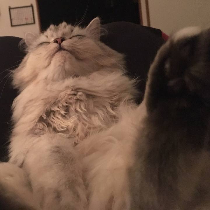 E20b36b8 1d48 4022 be62 c0191e6cedd1