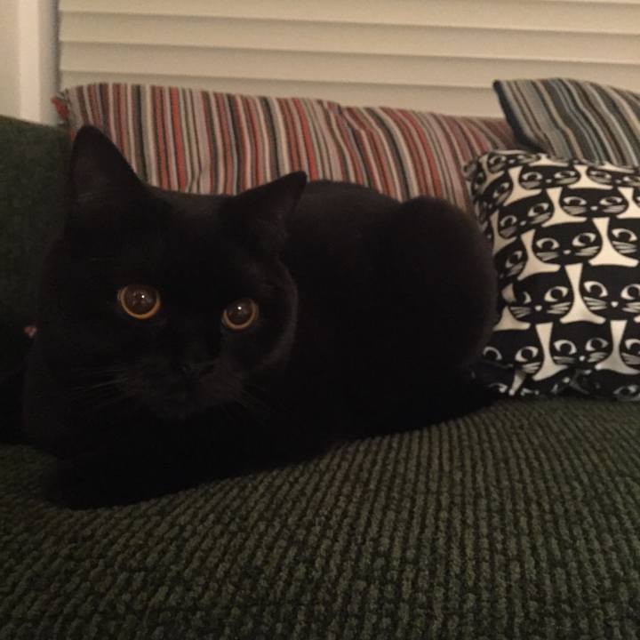 E20b3b94 259b 4e18 9064 db4a86ae3179