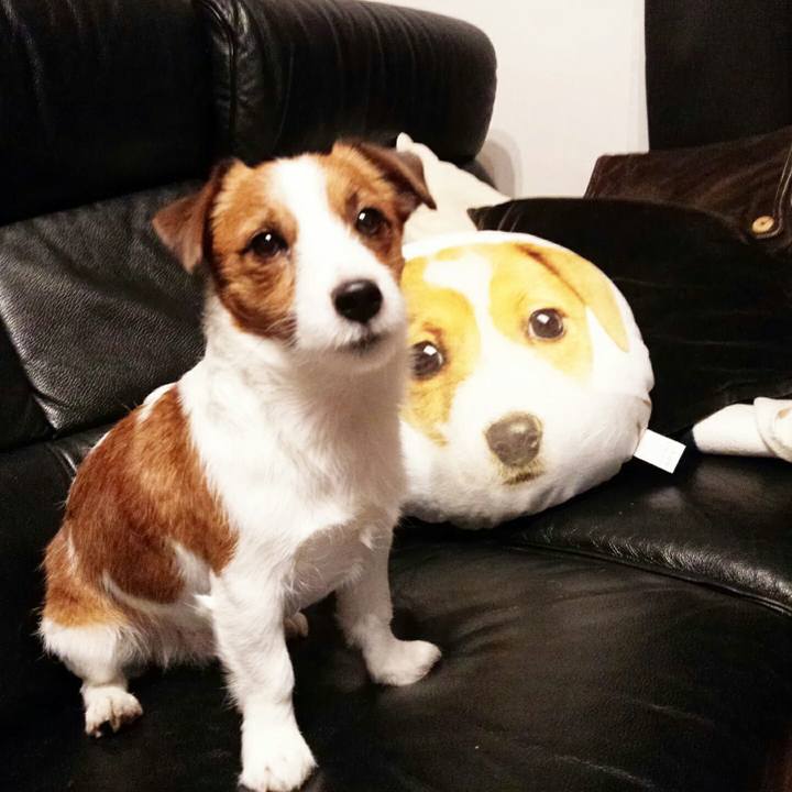 E20b5ec7 3fbb 4879 8d5a 9c5dbd95cd64