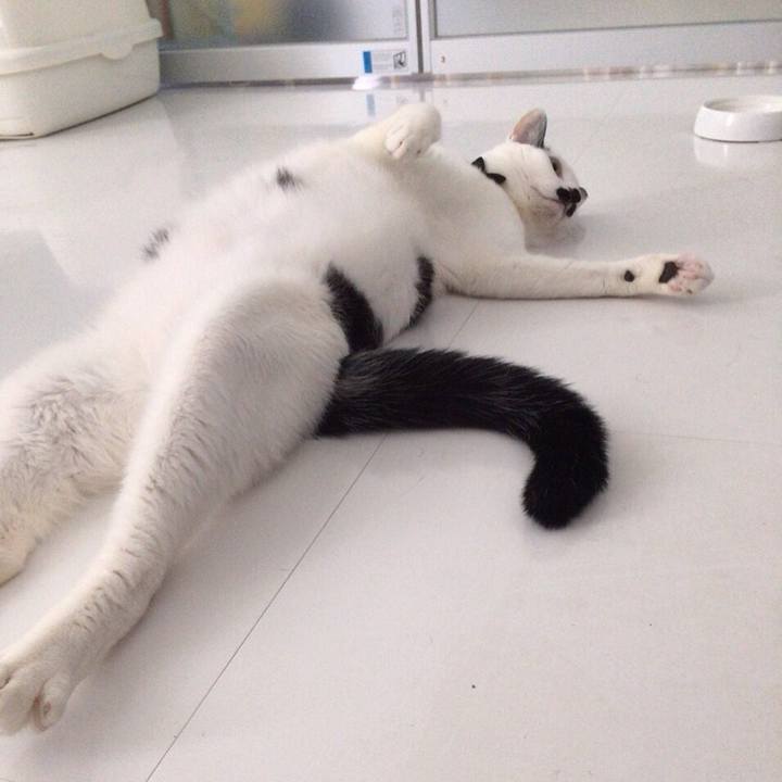 E20baaeb 5c80 4d20 9874 e18e147fba65