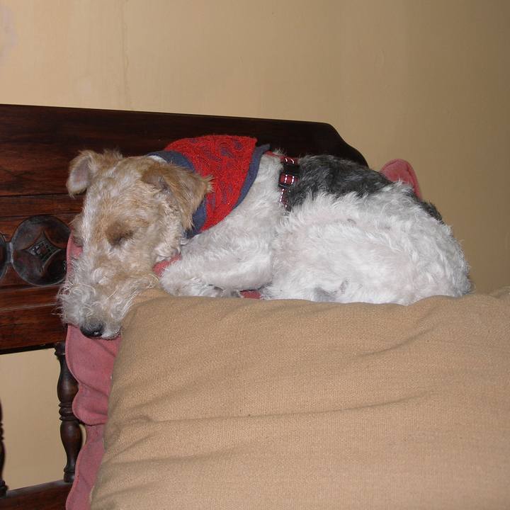 E20c07f7 878a 4664 911d ed840fdf1638