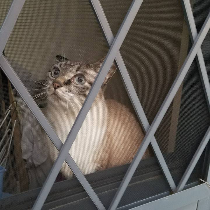 E20cf3cc 9c7d 433b bf79 61336270cbe1