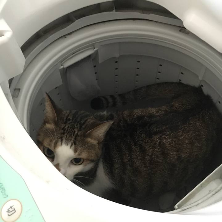 E20d4671 bdad 4d17 b009 dcaa3e78a9ff