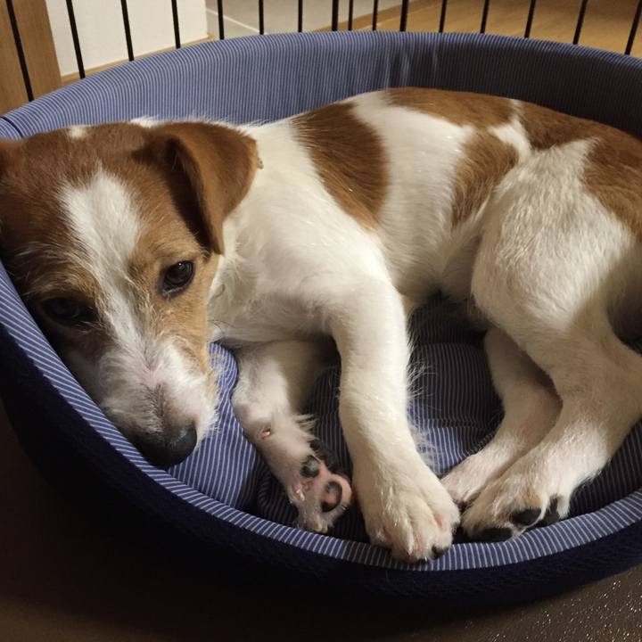 E20daaee 435c 4995 b5a4 edde217105e1