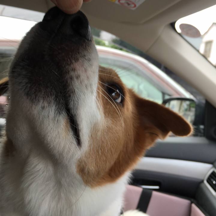 E20df3a5 71ae 41f5 8250 812c7cbe6980