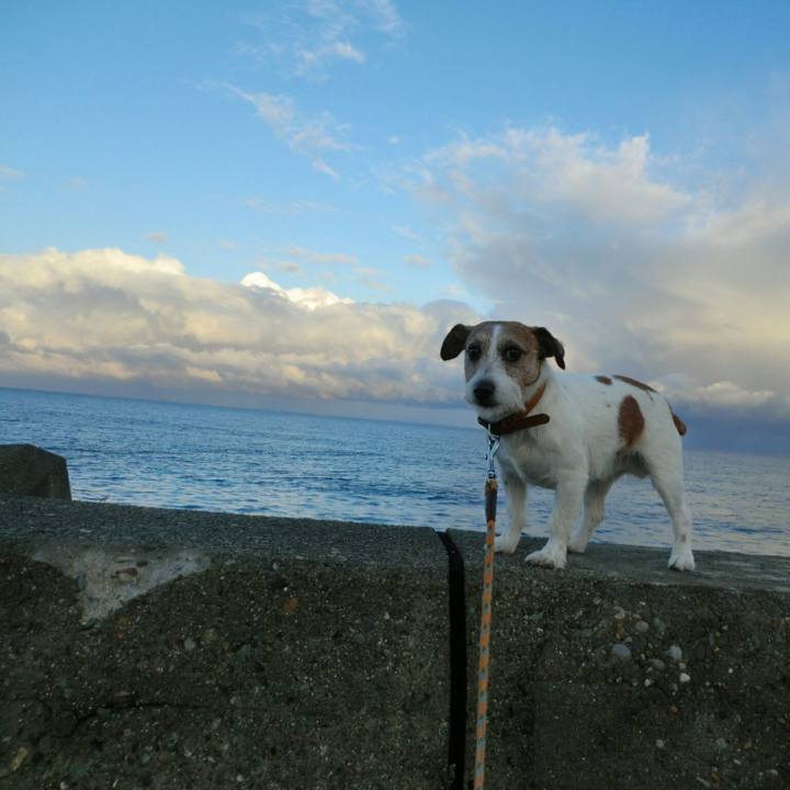 E210a2b5 6d32 4aaf 957f 49656688189f