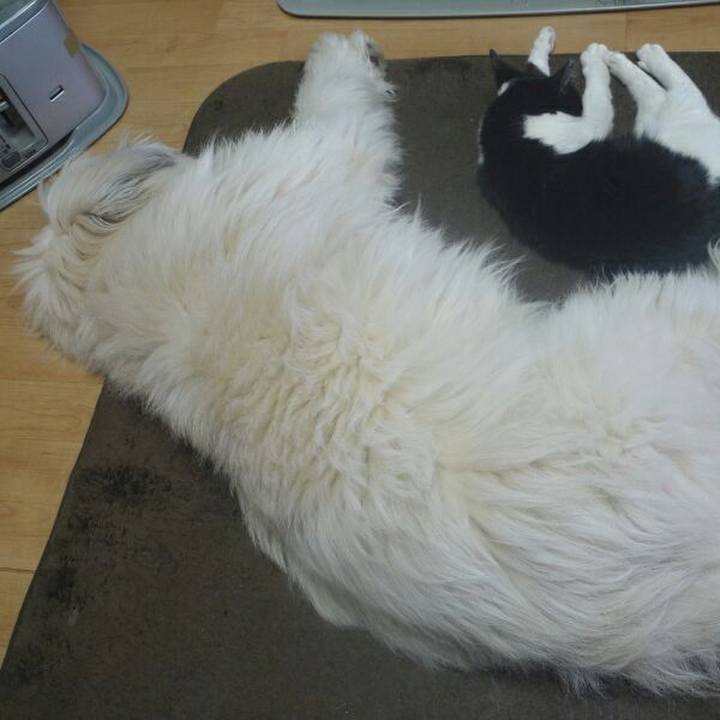 E2110547 bdda 4f5e 9e12 c613772b7b42