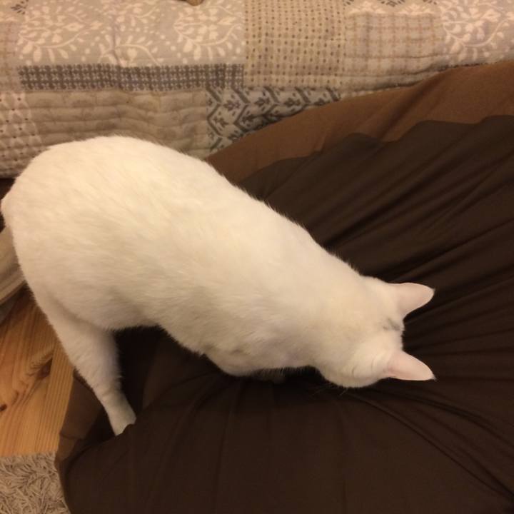 E2113842 3e06 49f2 afa7 6c9b44867849