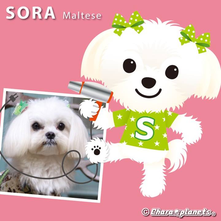 E211a859 9624 4b7e 96ed 6572307930dd