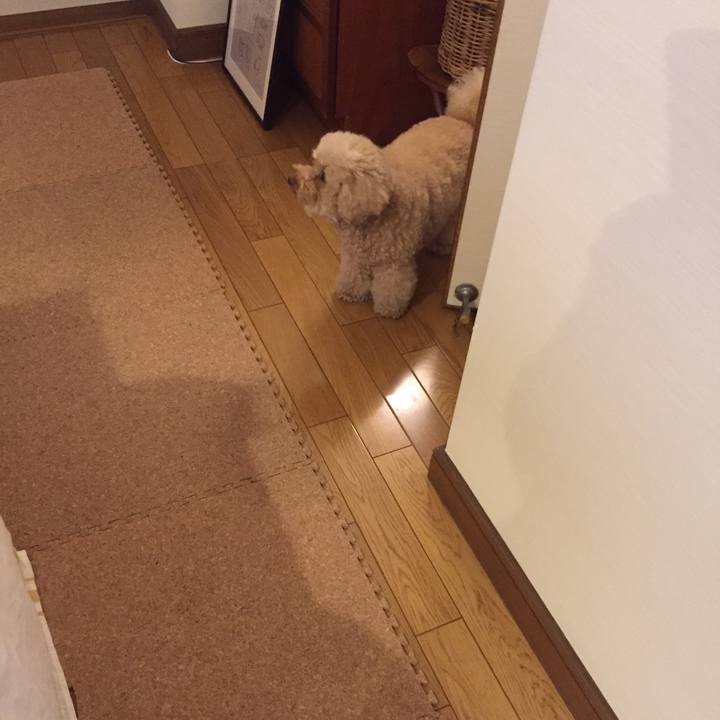 E211b07f efe8 4867 87ff 162b38426d01