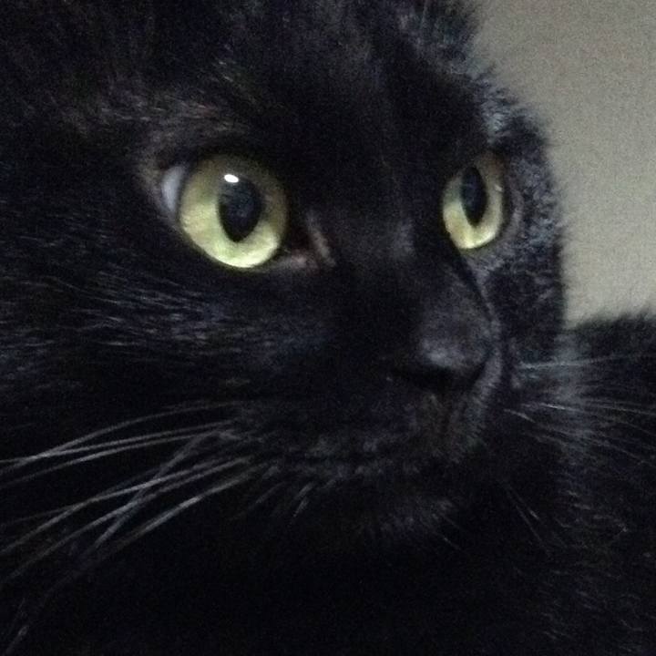 E211b30c 6a43 4253 ae93 b95d56c8afd4