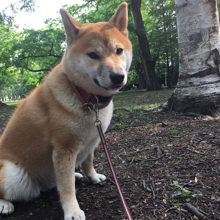 E2120dd1 c84b 435b 838f 5452a002827f