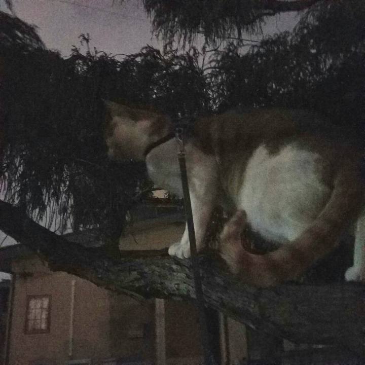 E213e479 28ad 49df 9ba0 59b616861634