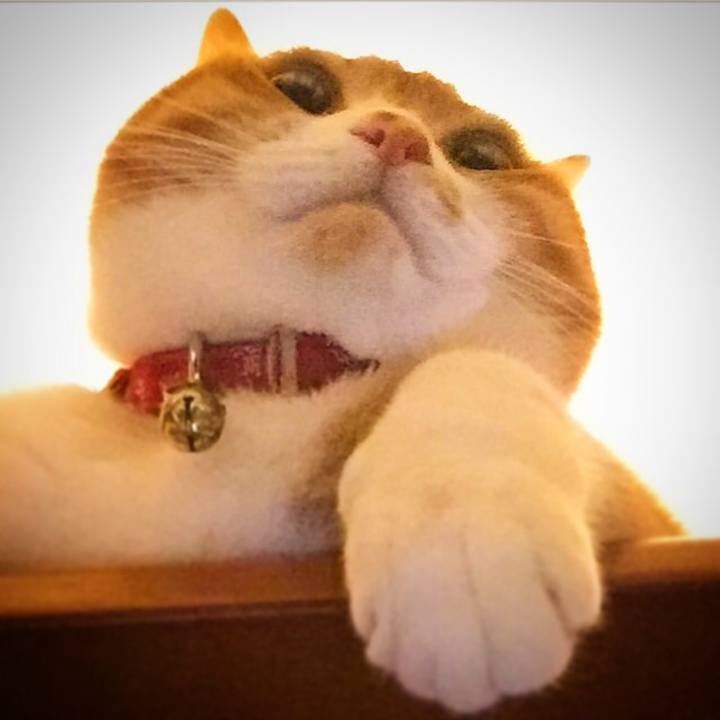 E213fd2f 21ca 4be6 9752 c37d910451fd