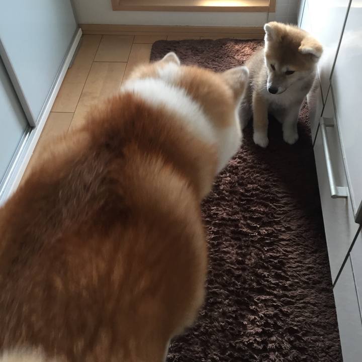 E214f3a7 2076 45ef bec3 ff12fcc40adc