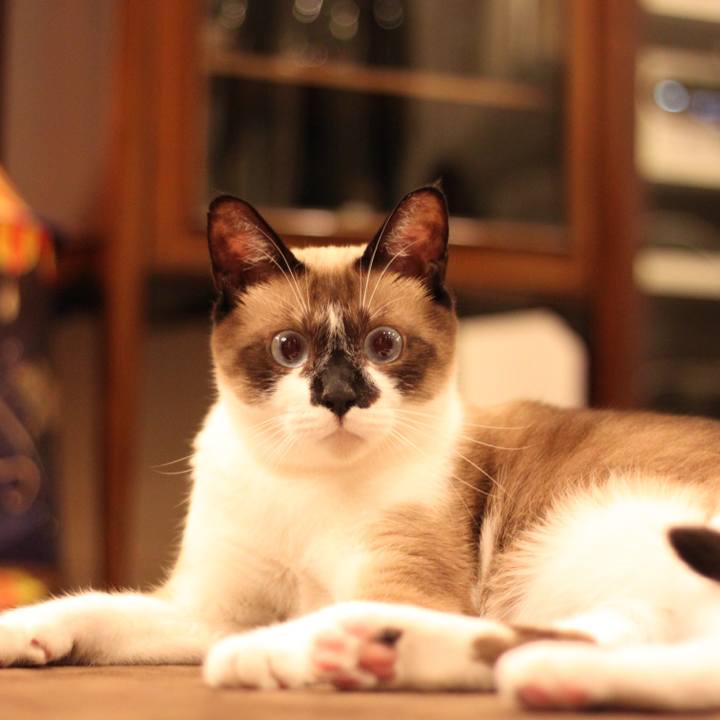 E214fc67 db6b 46e0 ba02 6be95d591971