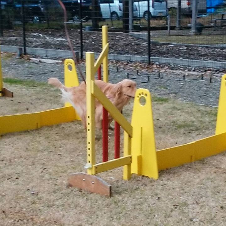 E215641b 9468 4e1c 93fa dd1d898b04fb