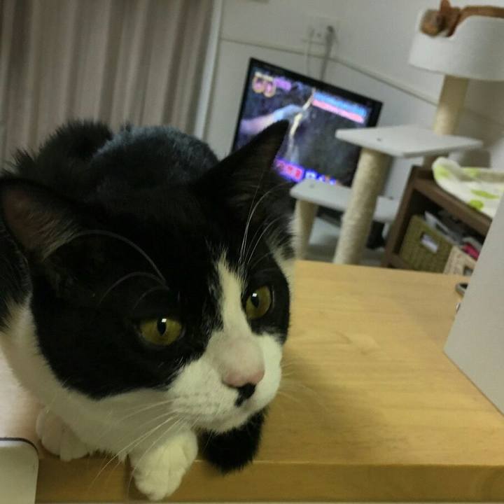 E215a47f f3a3 4ad3 bfeb f0875cd513f0