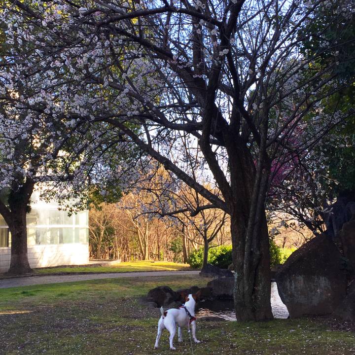 E215f8d1 8e5c 4fc5 89b4 5cb869ec6d19