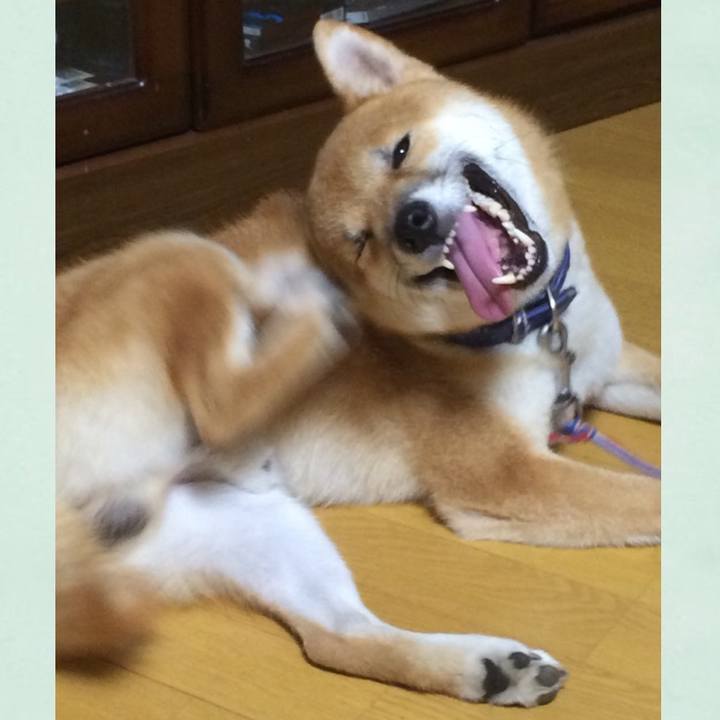 E216ae23 9830 4724 88ea b7f21637cfb7