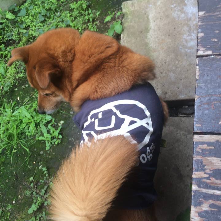 E216f420 47fa 4f00 9561 6c72d83090a6