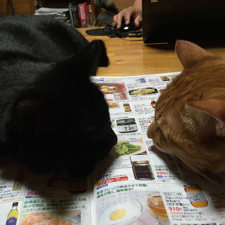 E2170252 852f 4bf1 ae90 4bf1bcfb365c