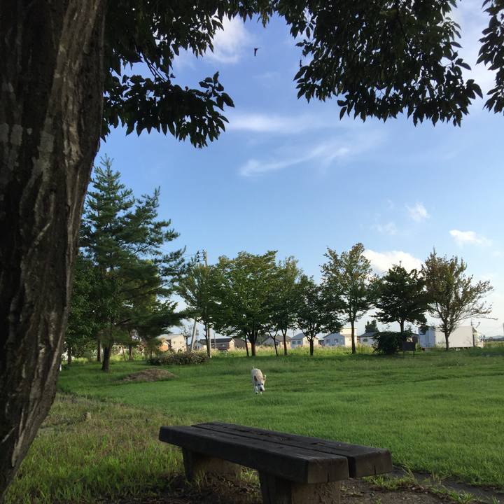 E2171ee2 b1ee 4112 aa1e bd1bbcc66062