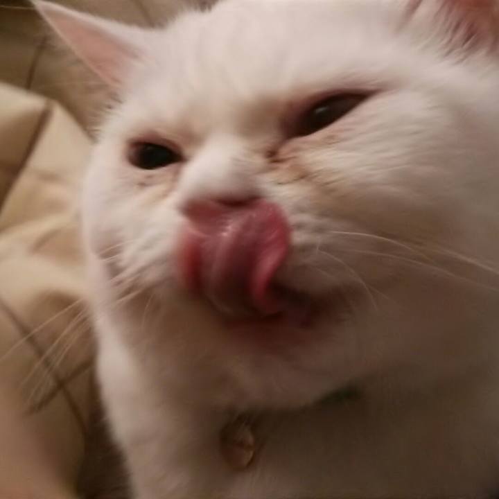 E217e11f feeb 4f75 99db 91d8a1fd98ca