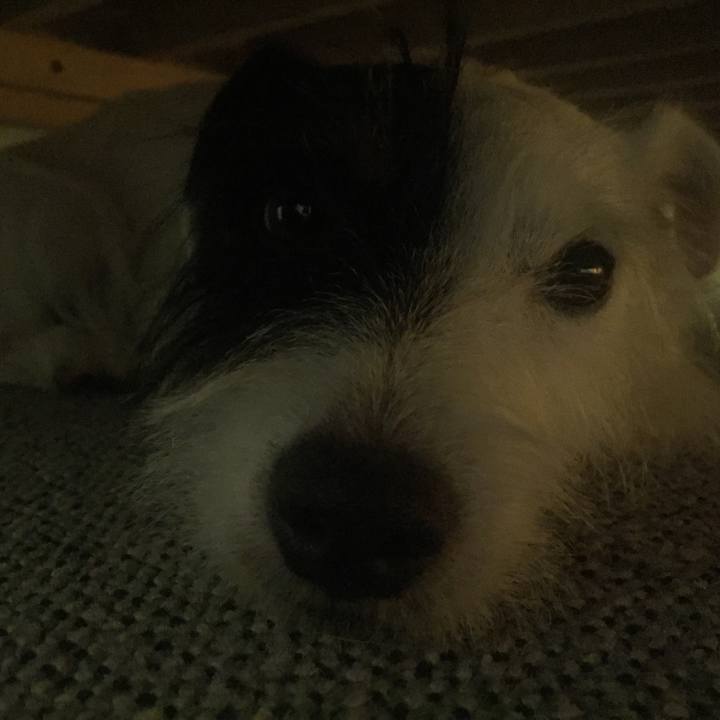 E21812c0 c313 4b85 8afe 6e86fcaf3342