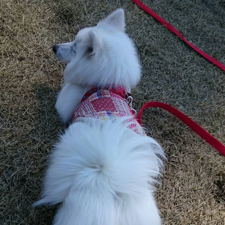 E219b17e 8e16 47a9 a821 cd24974180c0