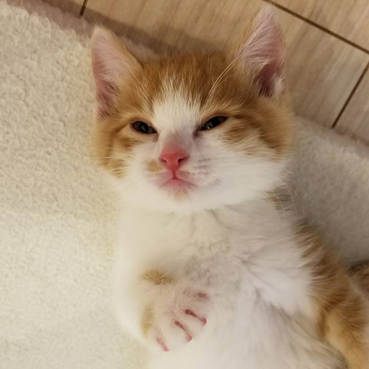 E219c32f 22fb 48c4 9bde 459d84f146a2