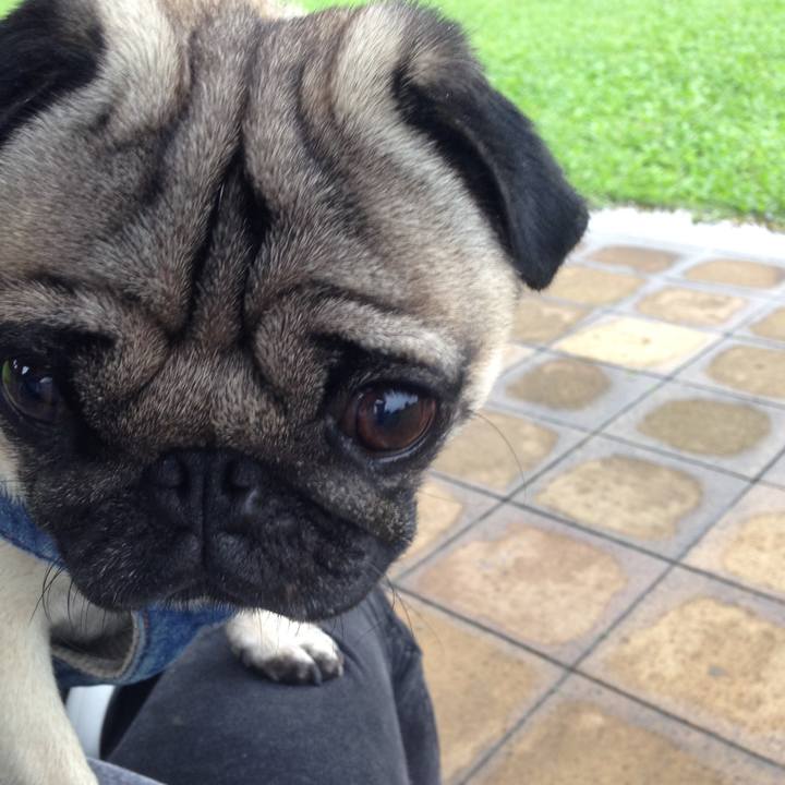 E21a3b49 3cb4 4ccc a2d2 99df05c3d6a6