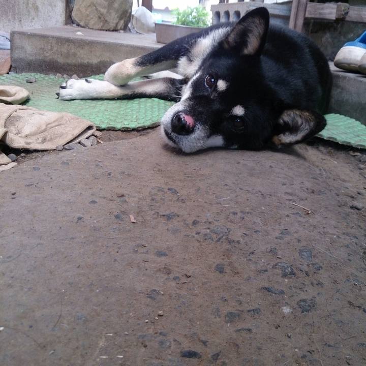 E21a5218 d3d7 40b9 8ddb f89a8f61342a