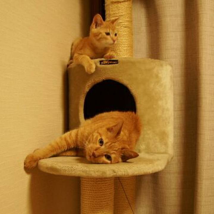 E21a5766 319f 4afa a0a1 7a7ea11c3eb4