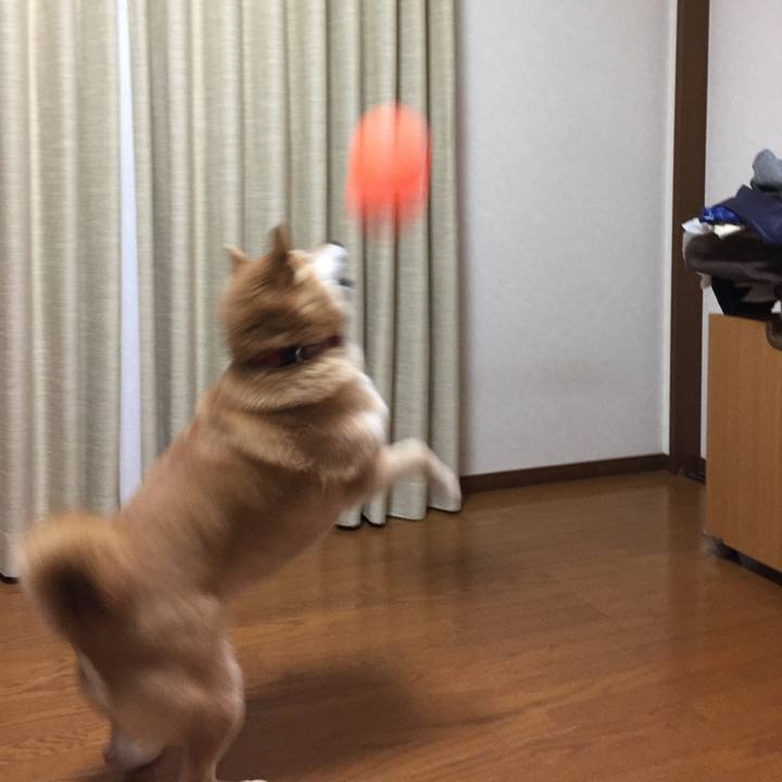 E21a6885 5369 48b0 97df 168b2dda0477