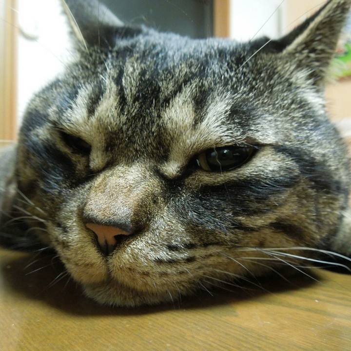 E21b286d 2b64 41fb be9b 5cb774cf6751