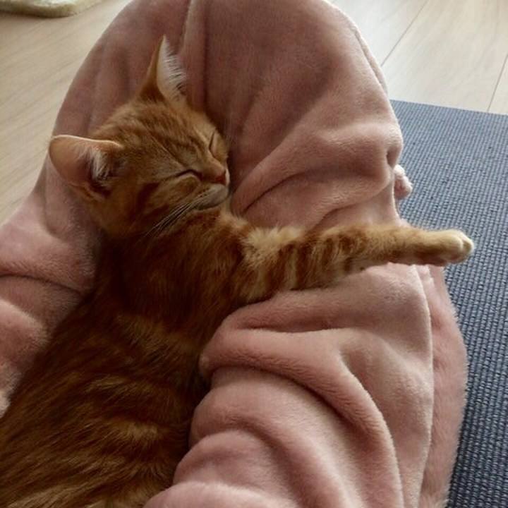 E21bc508 d2f1 4b25 aa97 6530fb46678e