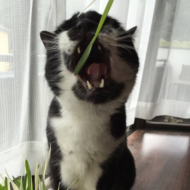 E21c4748 8cae 4219 a08b 6ce3469a8471