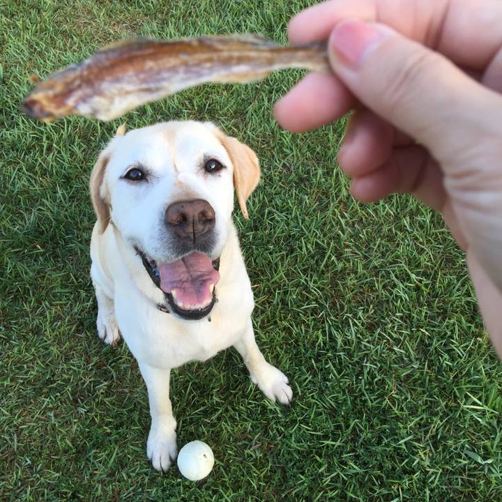 E21cb553 5f7e 46a1 b557 44223f280efb