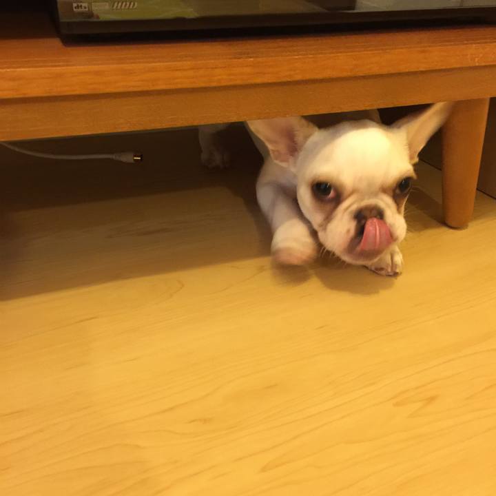 E21cdc29 667a 42e9 8f33 3d2479a31878