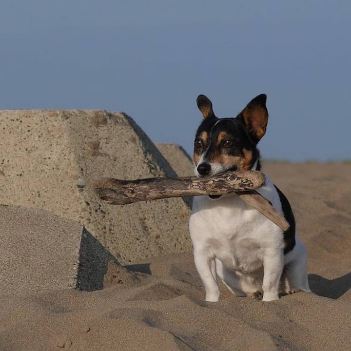 E21d024b c5a9 4e46 8d6d e20a1675fbd5