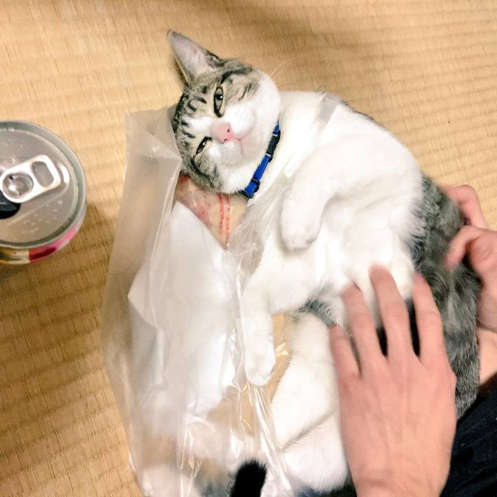 E21d621b 70db 48f5 b8f3 4d7aa725315f