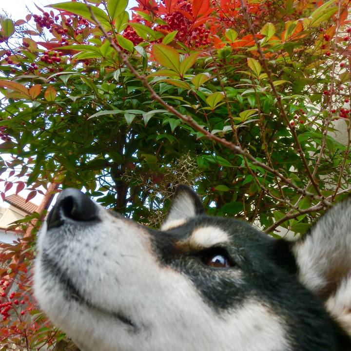 E21dc8cf 8a5e 451c bf6b ead5bcfc7e12