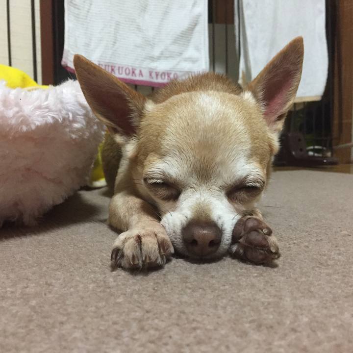 E21e6763 e6e8 4376 a983 7e5859c5bfd7