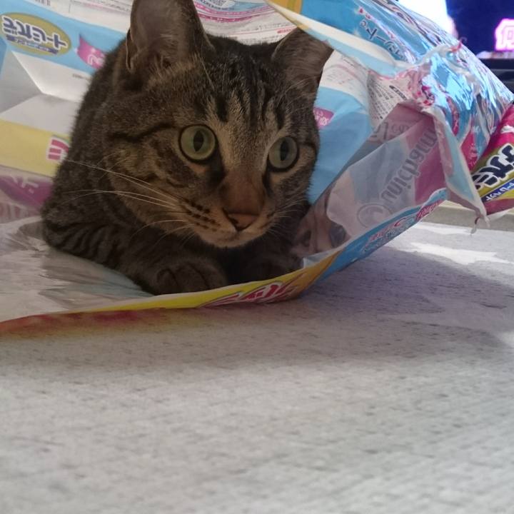 E21eb7f8 a46f 45ad a2ef 892803444533