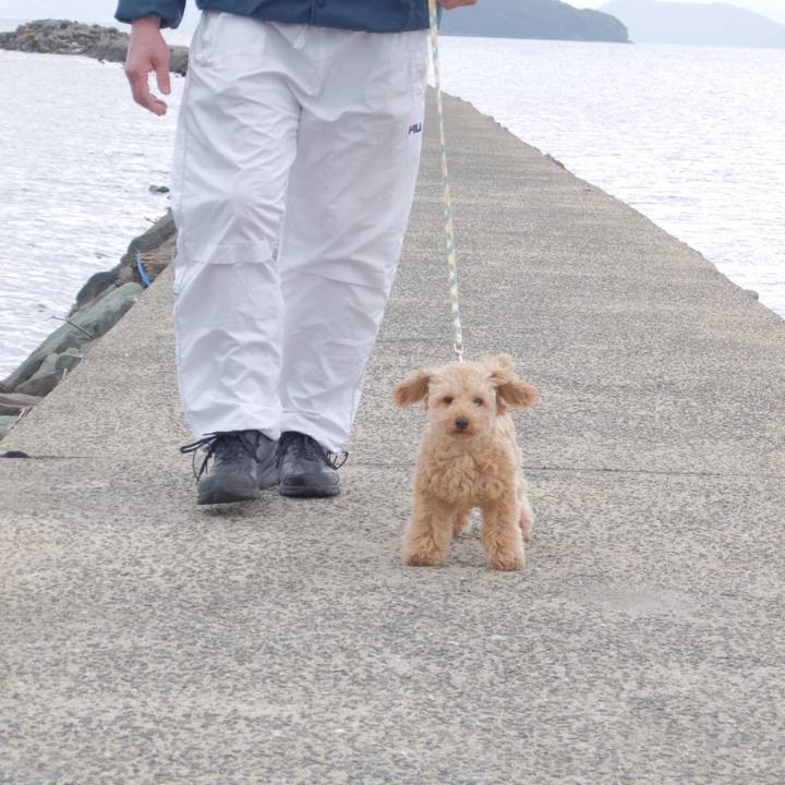 E21f3e5c eb08 48ae a83b 7517574966fe