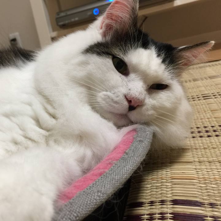 E21f5a32 a1dd 464e 8d15 84abc901231b