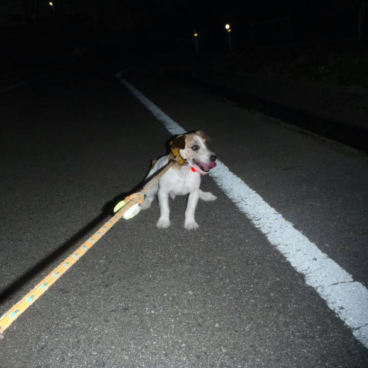 E21fb725 c804 4661 8040 2e3838a0efed