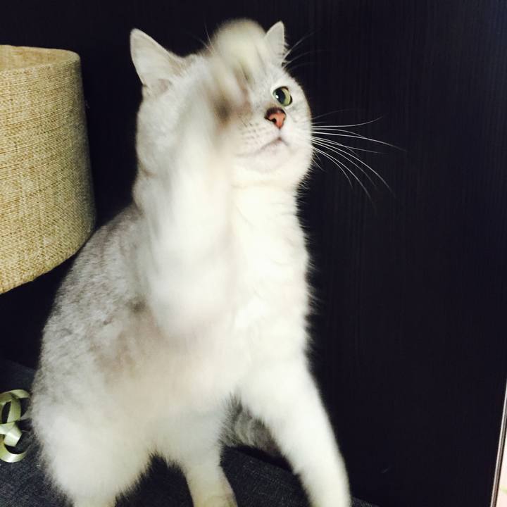 E22137e4 5fe8 4fe1 b79d 806de7686f0d